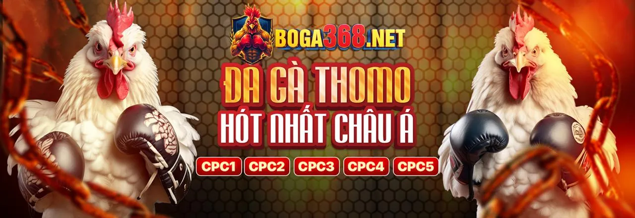 Hình ảnh đá gà trực tuyến tại xn88 ios